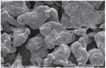 烧结铜粉（左）和铜网（右）的微观形貌  SEM images of sintered copper powder and mesh